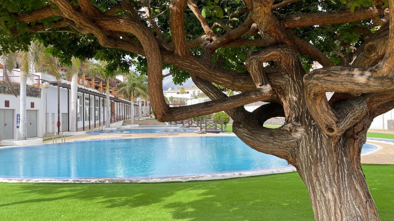 Appartement Casa Helen 2 Tenerife Sur à San Miguel de Abona Extérieur photo